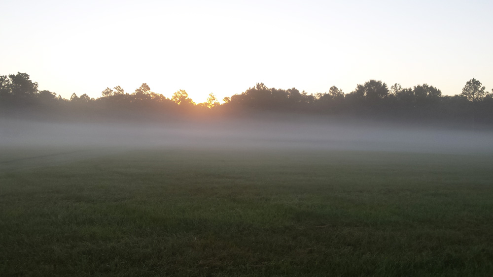 Dawn 20151014_070811