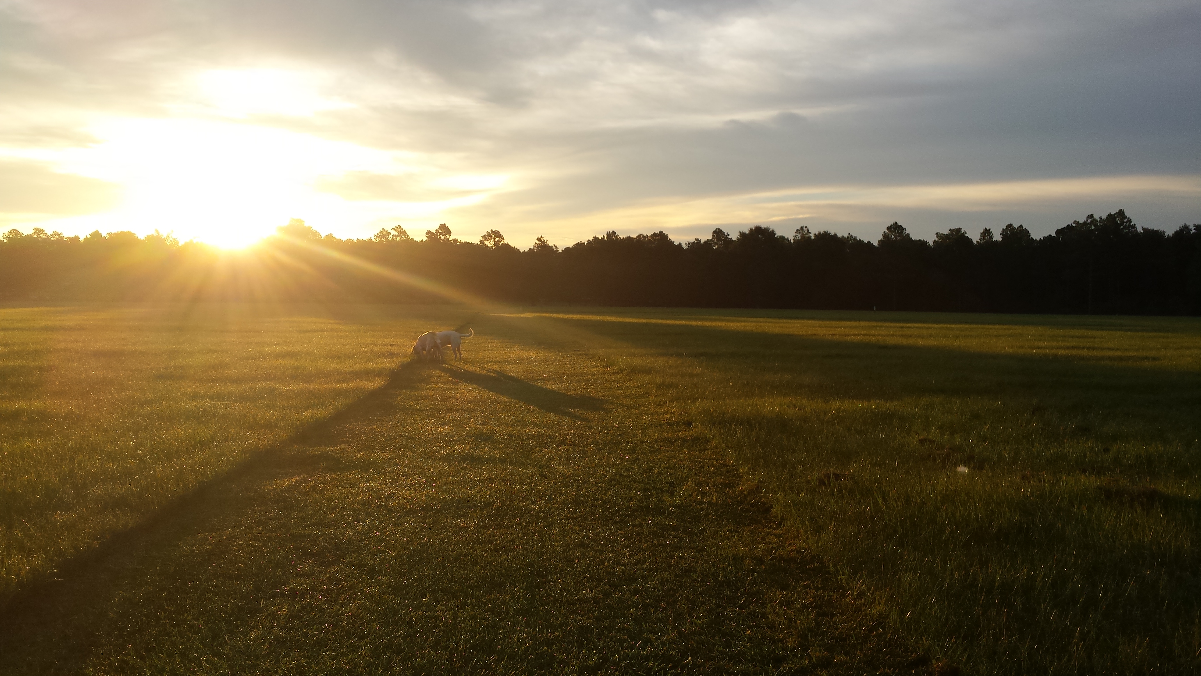 The Path 20150915_070403