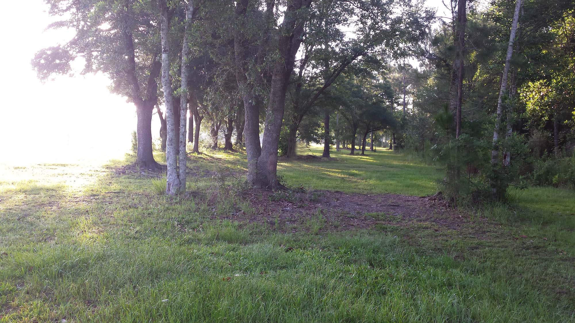 Heaven and Earth Heaven and Earth