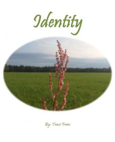 Identity Book Cover