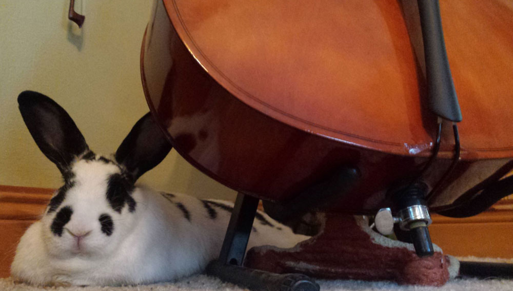 As for your steps, know that I delight in You. What would you do if you believed this, how would you respond to the mundane and great? Are not these voice an onslaught right before My orchestrated breakthrough. I can make you the head and not the tail in a moment.