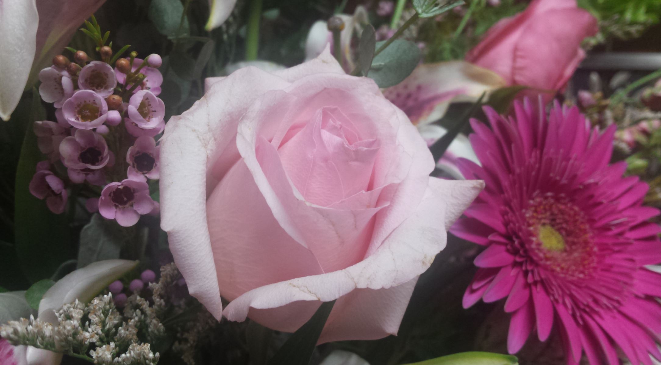 Pink rose in the midst of other flowers of all kinds in varying shades of pink.